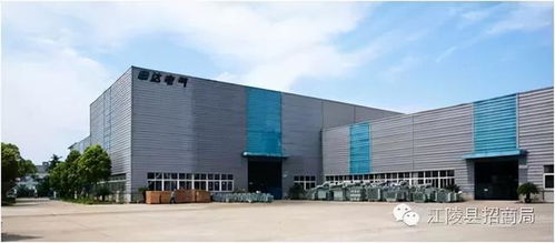 荆州江陵招商组与亿融创服共商投资机遇，助力实业发展